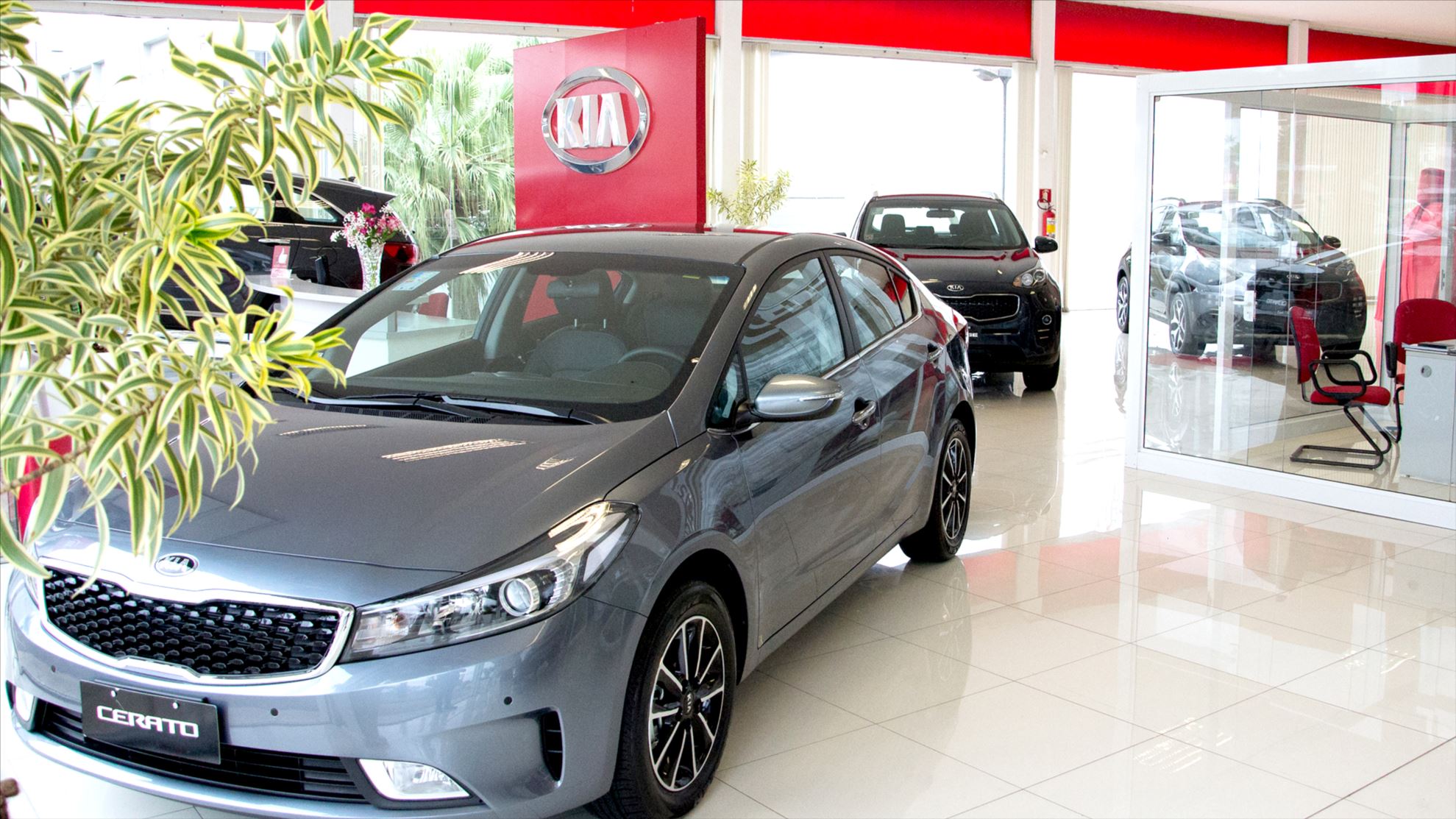 Pegasus Kia Motors Brasil